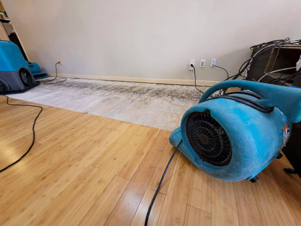 Professional Water Damage Repair technician working in Sandwich, MA